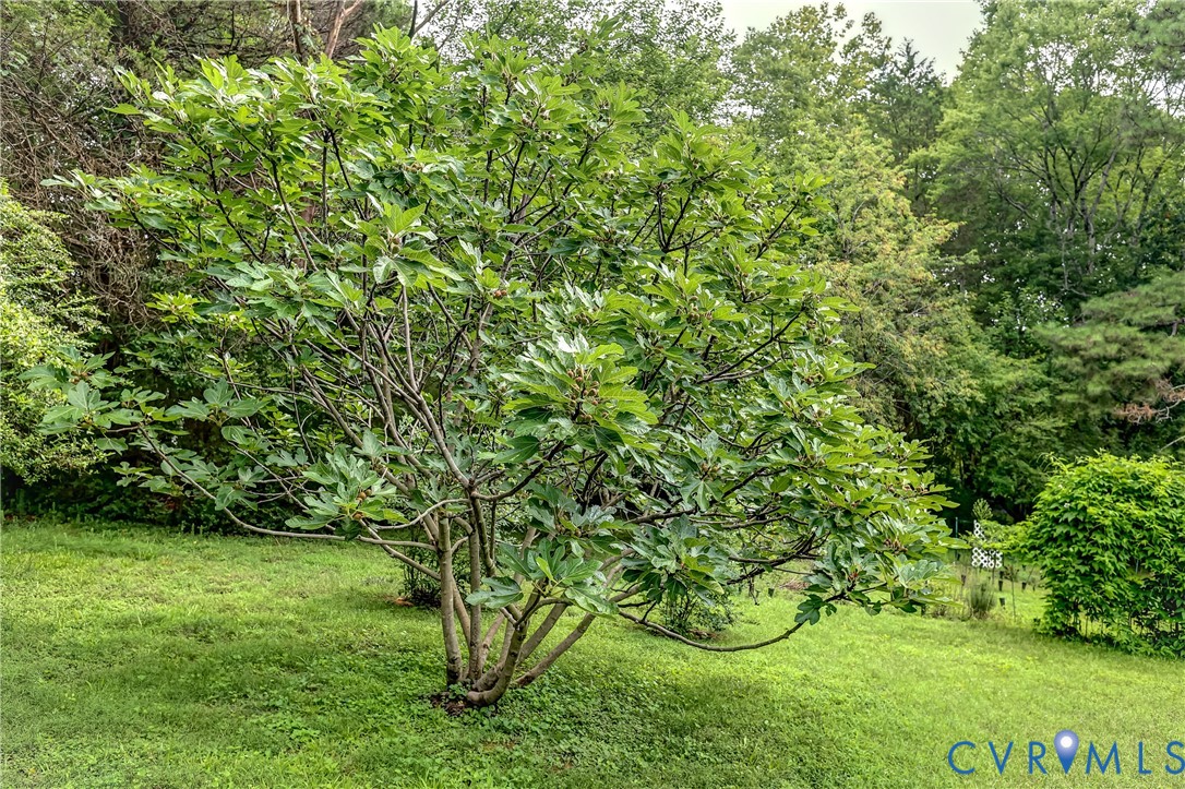 9520 West Providence Road Chesterfield, VA 23236 - Photo 36 of 37 Gallery Image 36