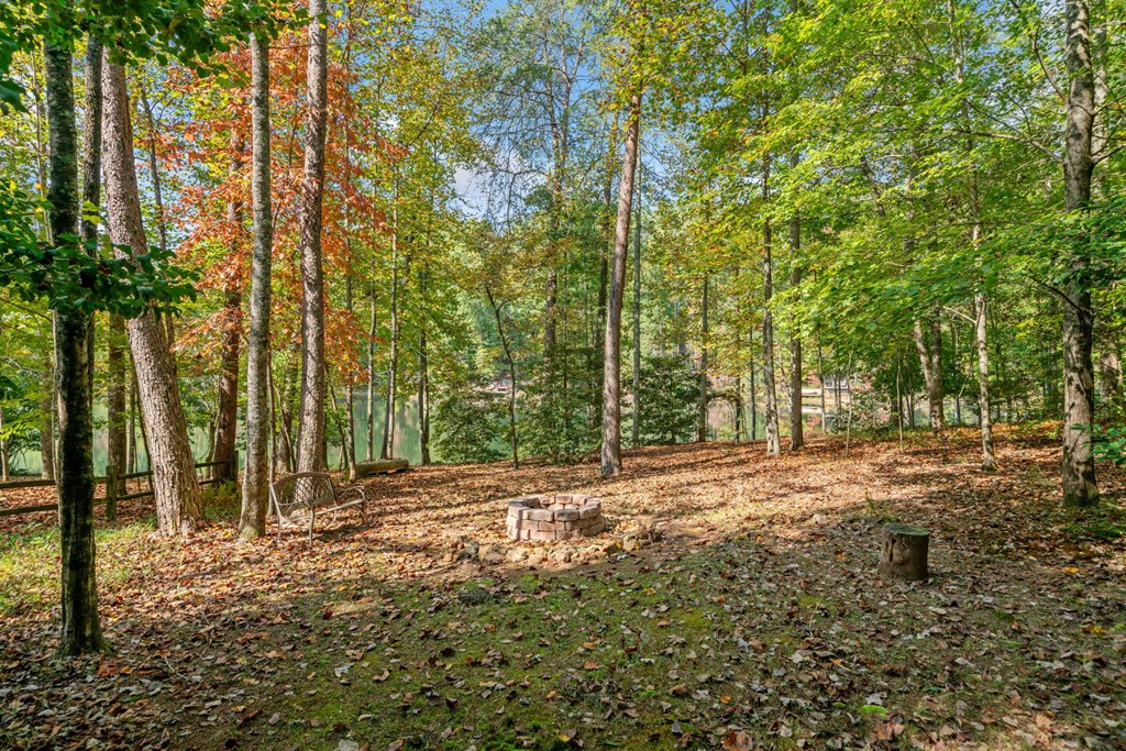 591 Arrowhead Pass Blue Ridge, GA 30513 - Photo 32 of 41 Gallery Image 32