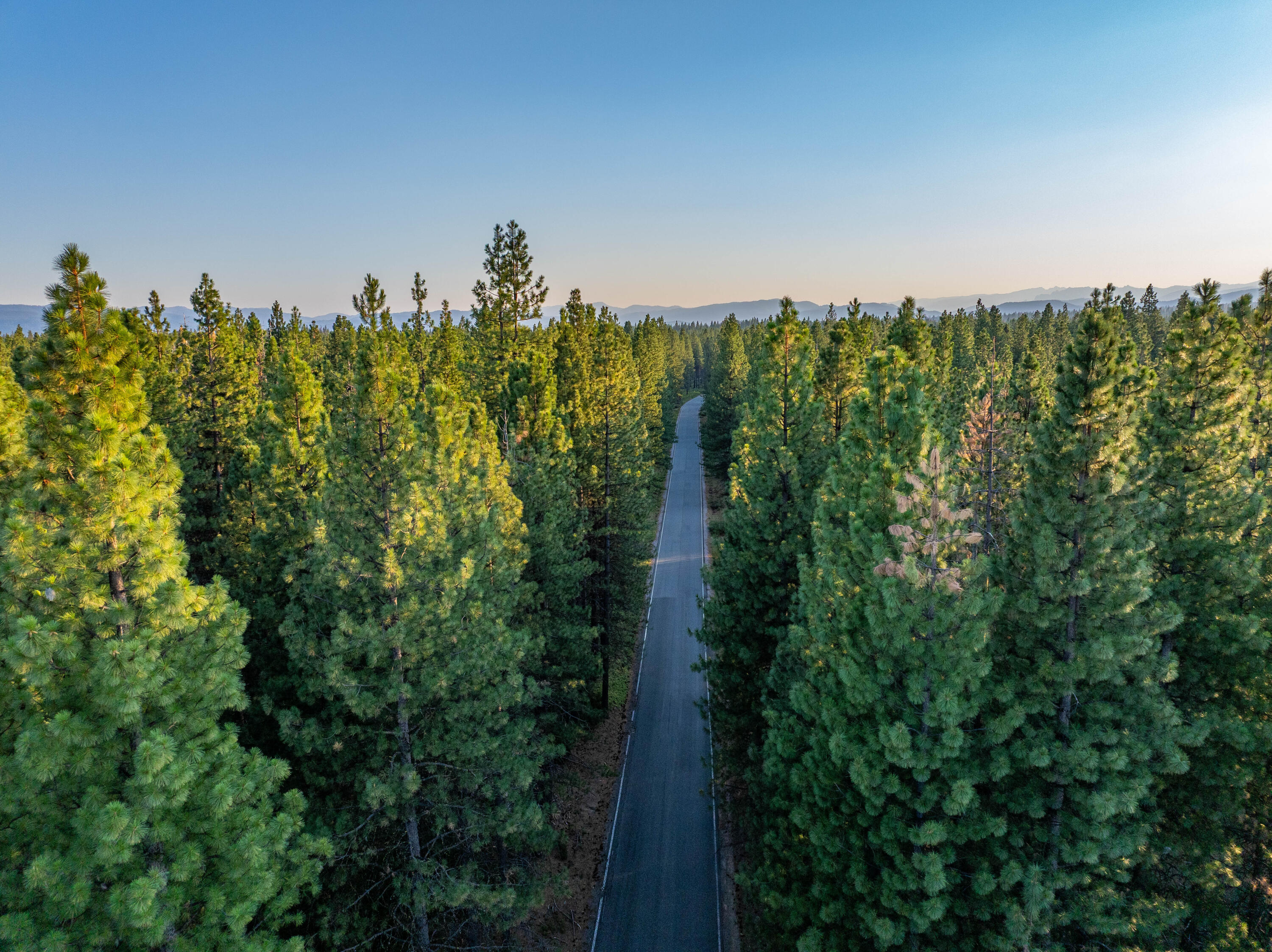 Pilgrim Creek Road McCloud, CA 96057 - Photo 6 of 10 a view of a city