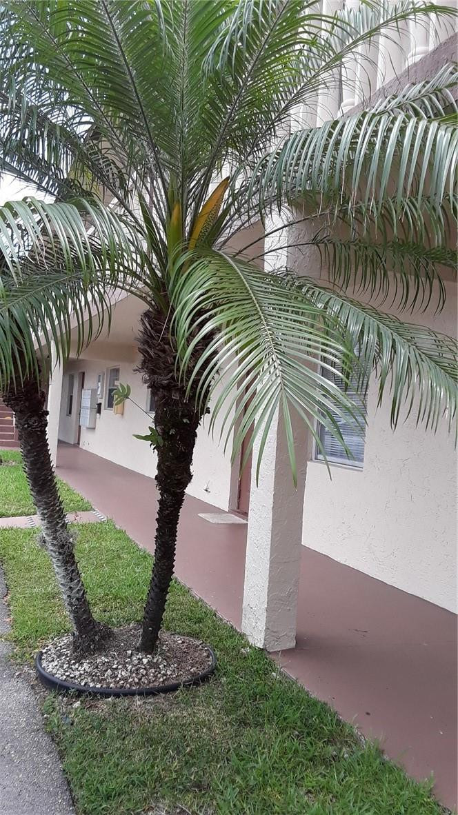 9220 Southwest 3rd Street, Unit 903 Boca Raton, FL 33428 - Photo 10 of 23 Photo 10