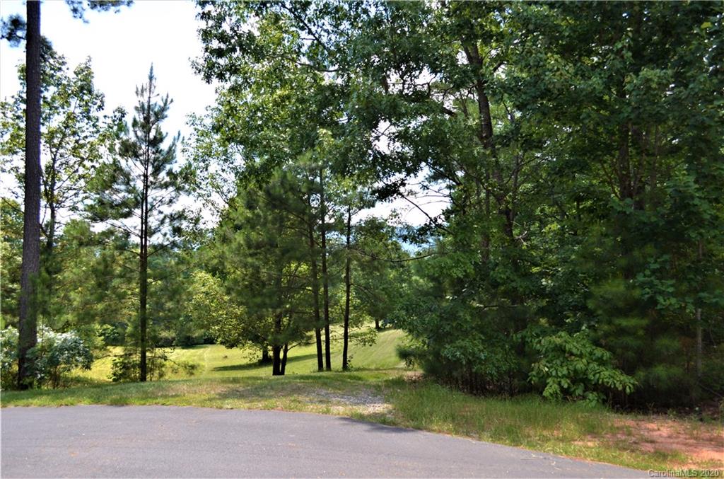 208 Loblolly Ln Mill Spring Mill Spring, NC 28756 - Photo 31 of 46 a view of a park with a tree