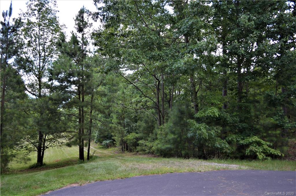 208 Loblolly Ln Mill Spring Mill Spring, NC 28756 - Photo 32 of 46 a view of a park with large trees