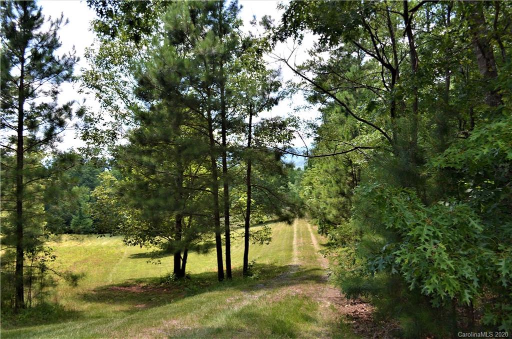 208 Loblolly Ln Mill Spring Mill Spring, NC 28756 - Photo 33 of 46 a view of a yard with a tree