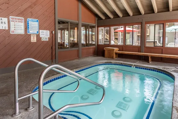 a view of a swimming pool with a potted plant