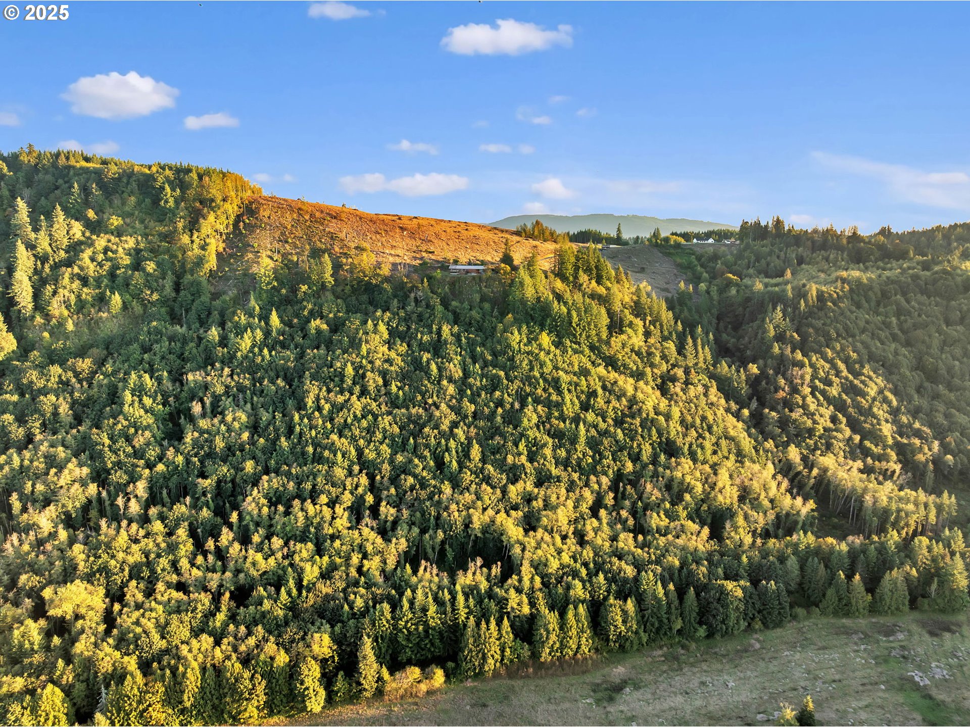 39904 Northeast Rotschy Road Yacolt, WA 98675 - Photo 43 of 48