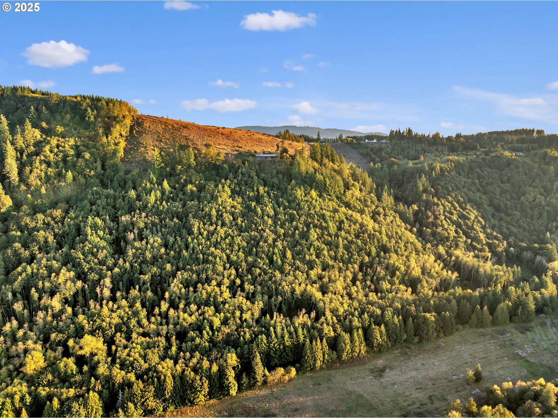 39904 Northeast Rotschy Road Yacolt, WA 98675 - Photo 44 of 48 a view of a city