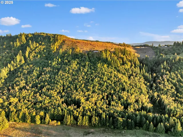 a view of lake and mountain