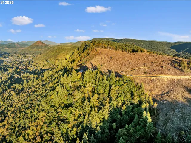 $1,190,000 | 39904 Northeast Rotschy Road, Yacolt, WA 98675