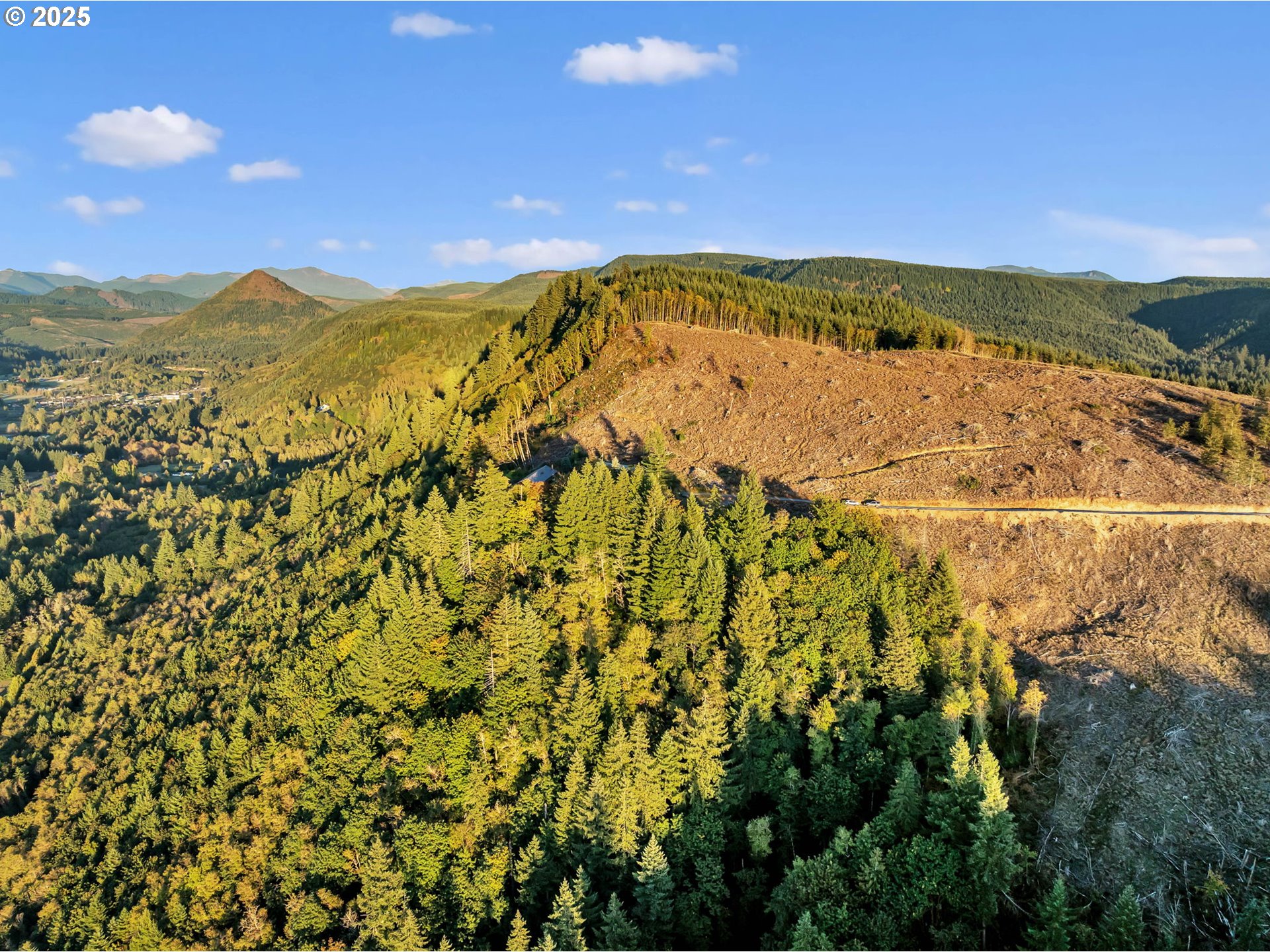 39904 Northeast Rotschy Road Yacolt, WA 98675 - Photo 48 of 48 a view of an ocean
