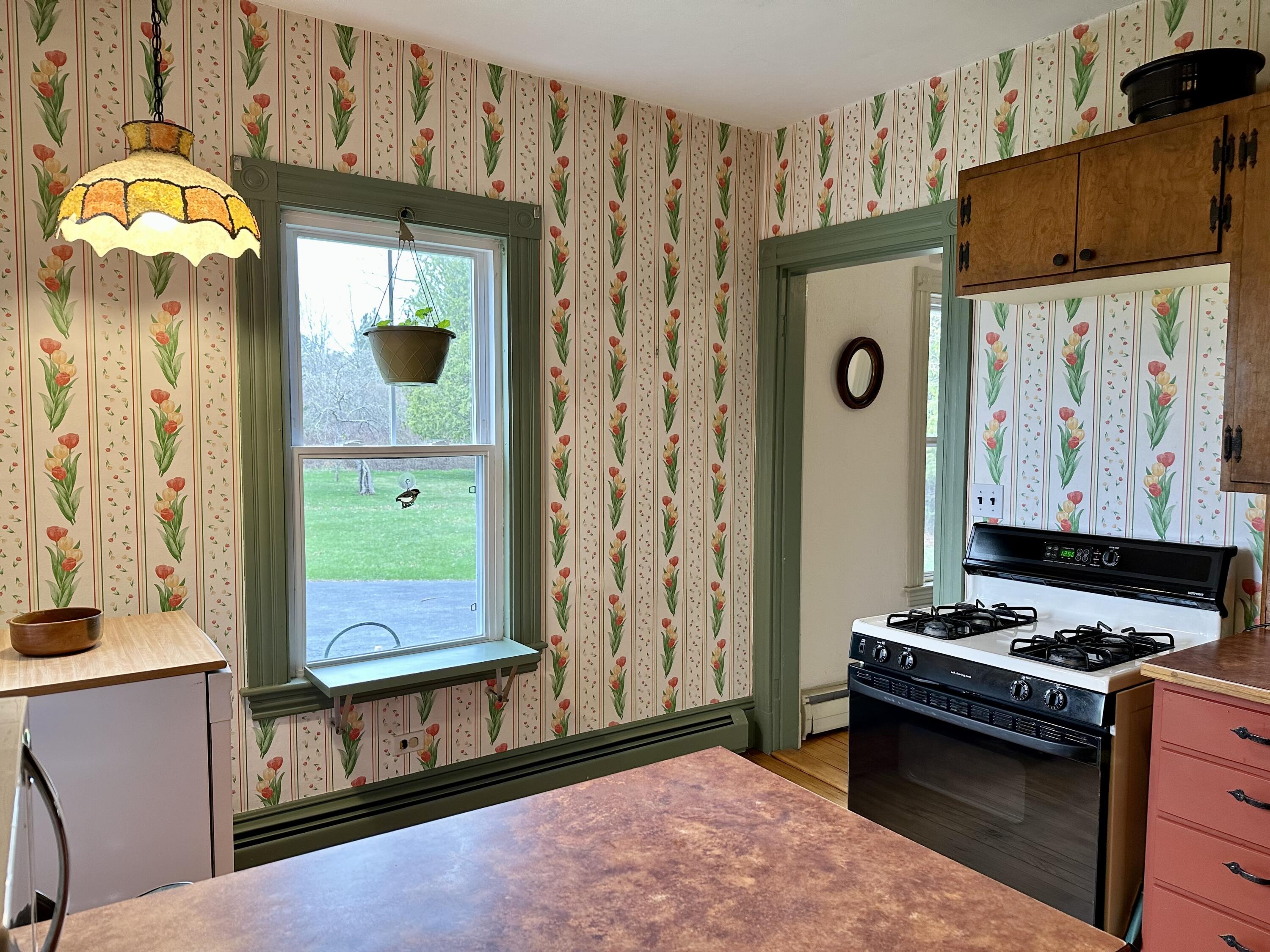 367 Bog Road Albion, ME 04910 - Photo 63 of 131 IMG_4392 (2)