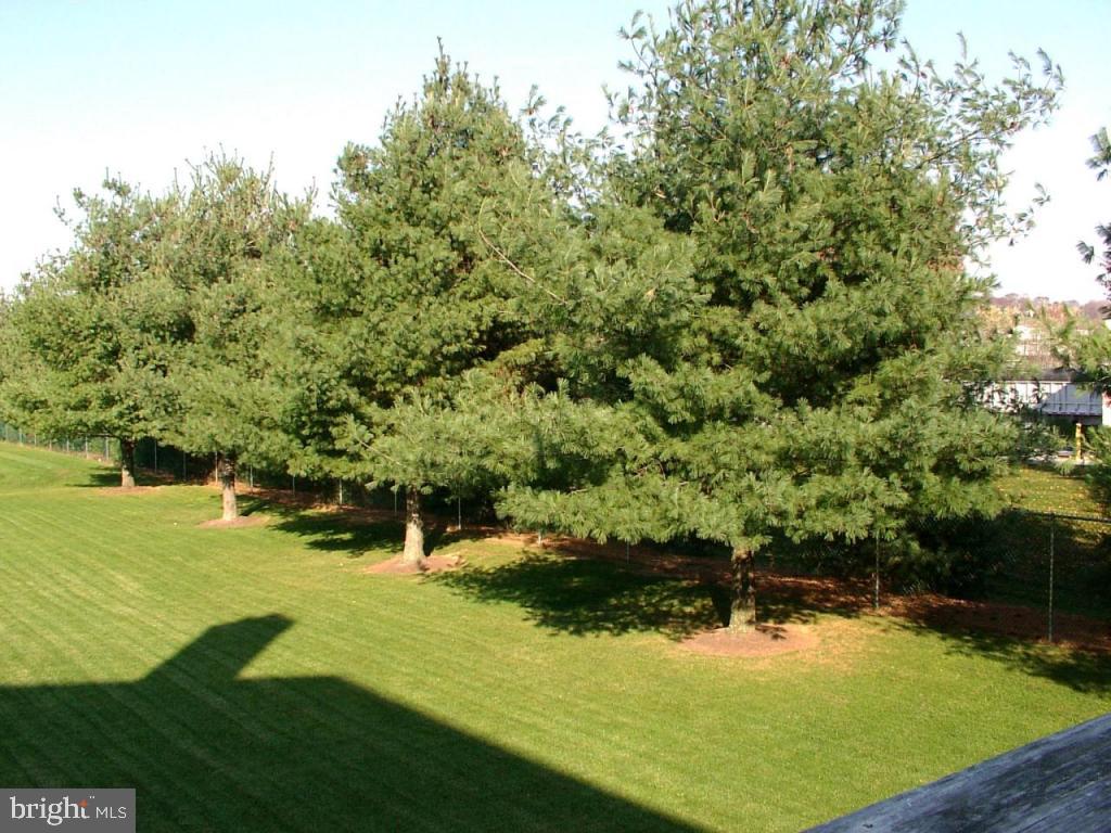 137 Pepperton Court Lititz, PA 17543 - Photo 14 of 16 Gallery Image 14