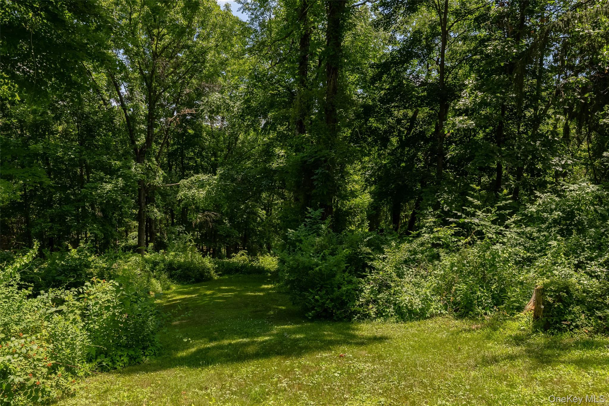 326 Mills Cross Road Staatsburg, NY 12580 - Photo 31 of 33
