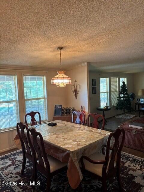 1733 Highway 102 Gibson, GA 30810 - Photo 4 of 11