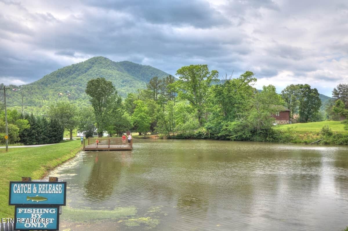 210 Meghans Way Townsend, TN 37882 - Photo 47 of 47