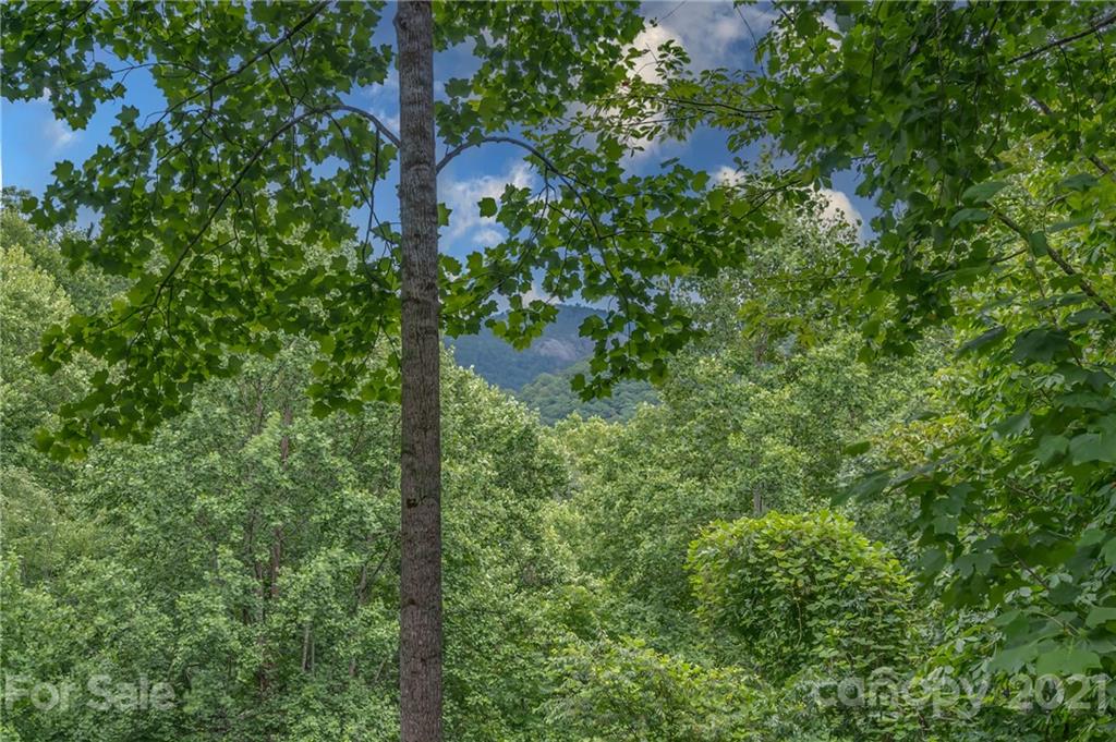 242 Reedy Ridge Road Hendersonville, NC 28792 - Photo 13 of 48 Gallery Image 13