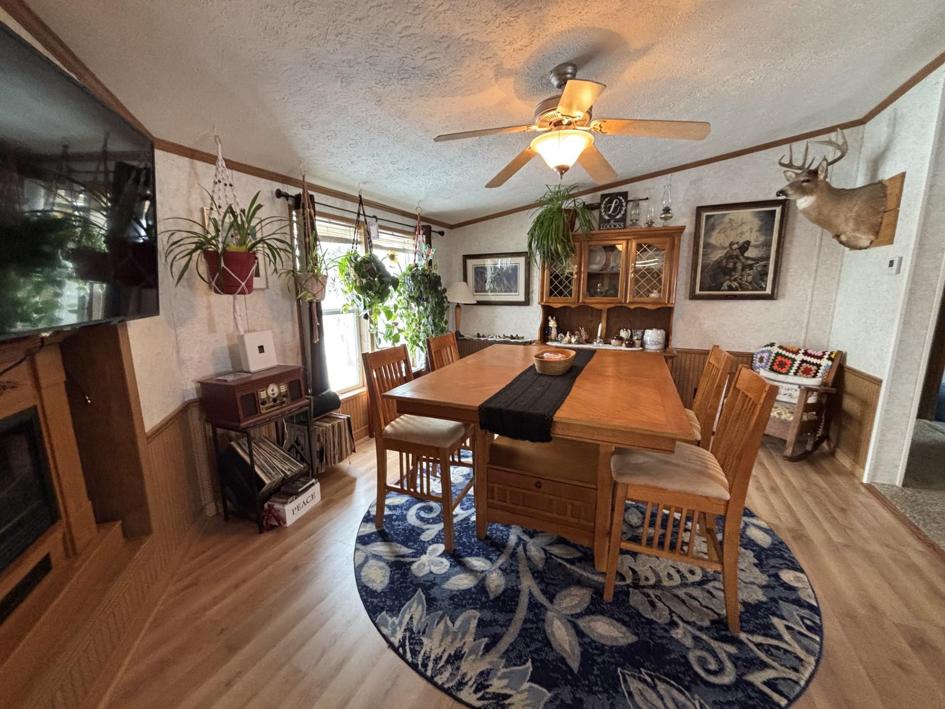 128 Lynn Road Ottertail, MN 56571 - Photo 5 of 22