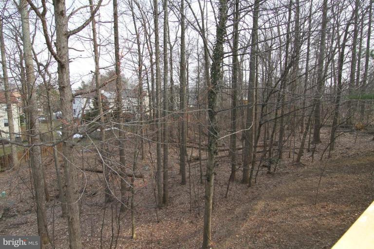 8302 Timber Brook Lane Springfield, VA 22153 - Photo 23 of 30 Back yard