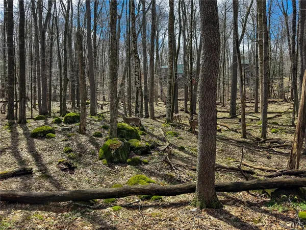 $166,000 | 291 Joy Tract Road, Webb, NY 13420