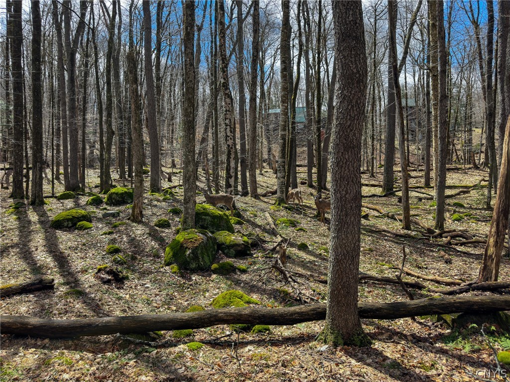 291 Joy Tract Road Webb, NY 13420 - Photo 23 of 26