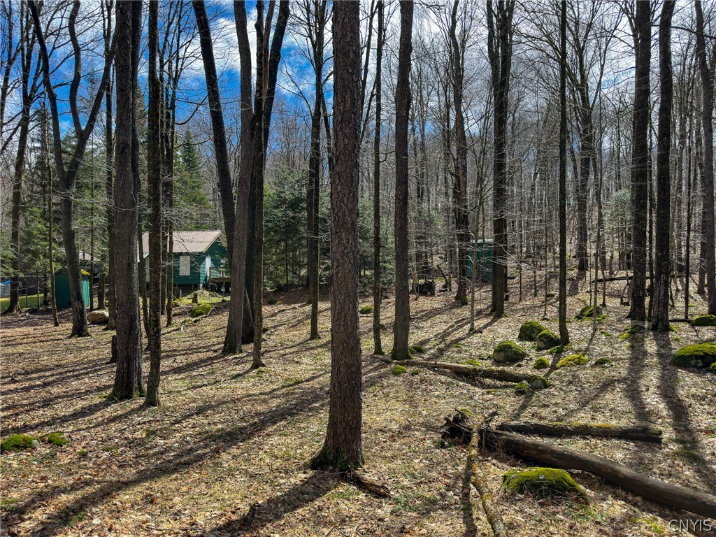 291 Joy Tract Road Webb, NY 13420 - Photo 24 of 26