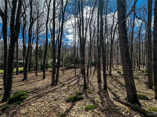 $166,000 | 291 Joy Tract Road, Webb, NY 13420