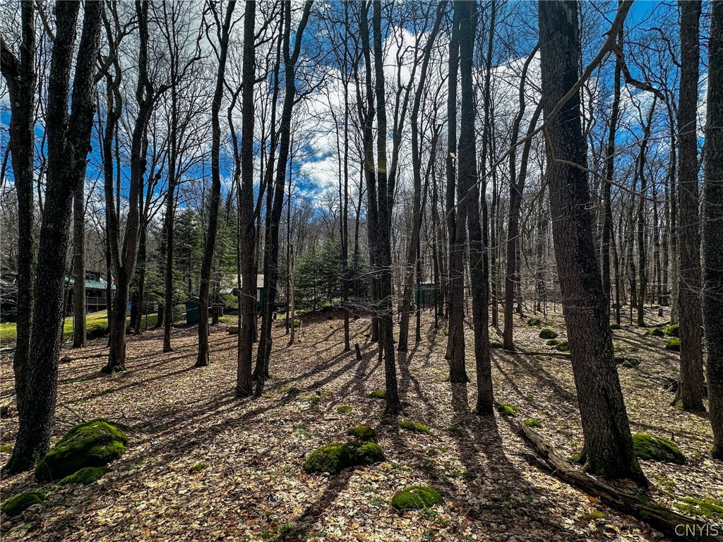 291 Joy Tract Road Webb, NY 13420 - Photo 25 of 26