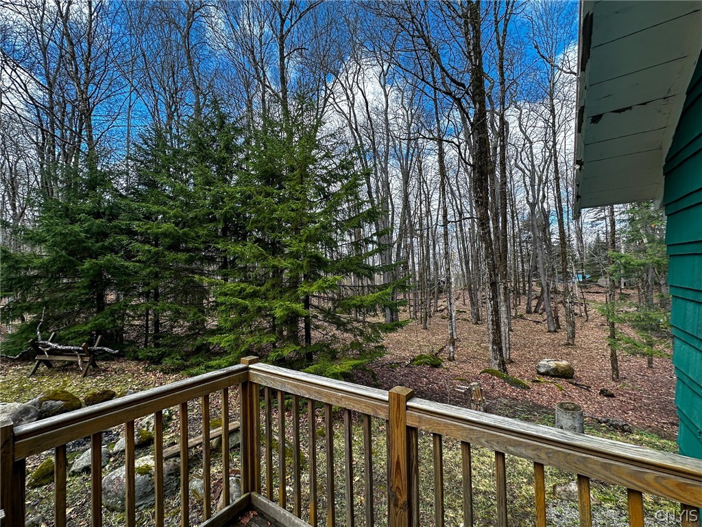 291 Joy Tract Road Webb, NY 13420 - Photo 9 of 26