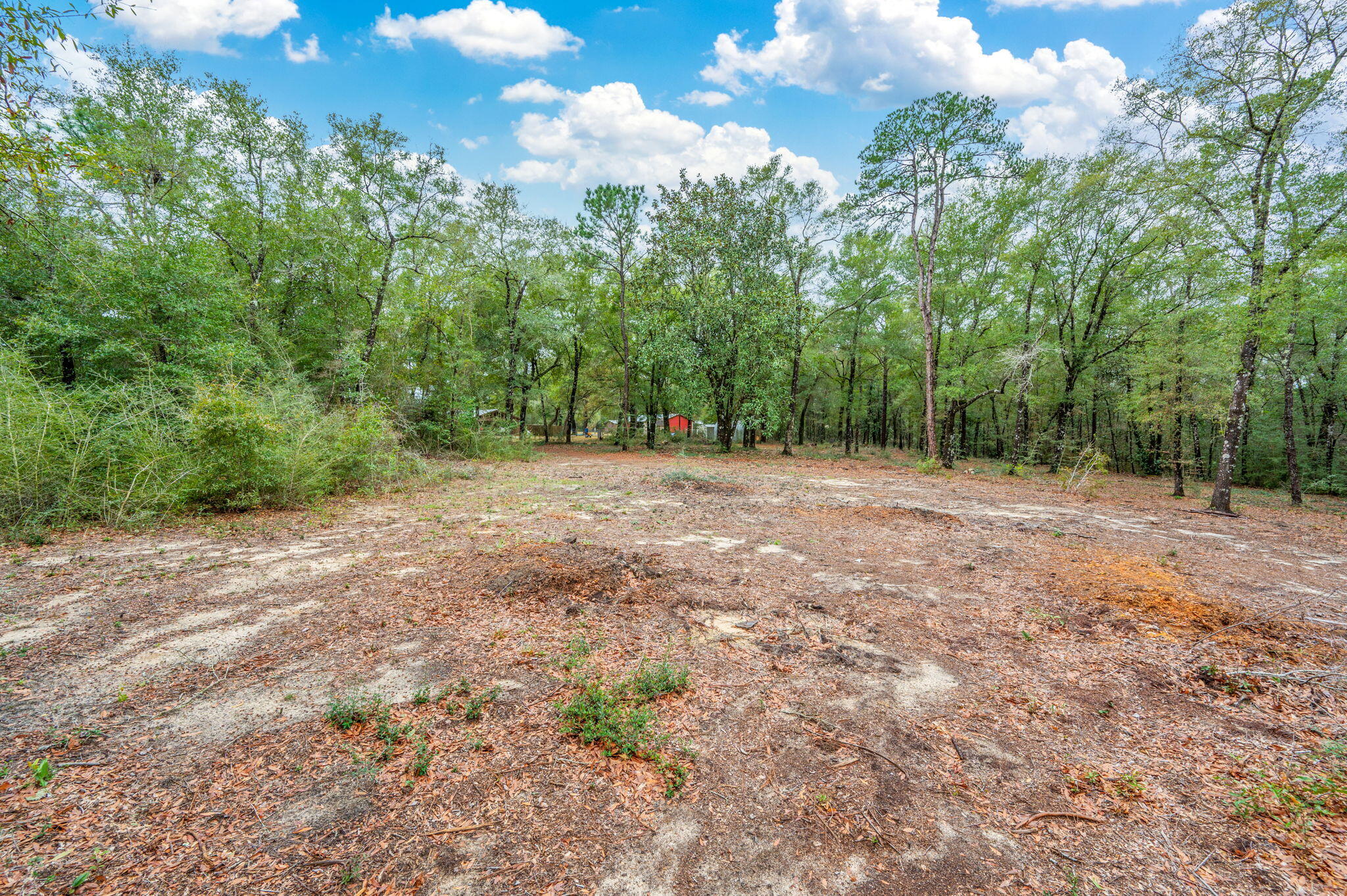 4.69 Acres Jv Woolley Road Crestview, FL 32539 - Photo 6 of 13 14-web-or-mls-jv-woolley-rd