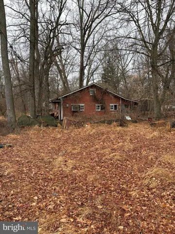 a view of backyard with large trees
