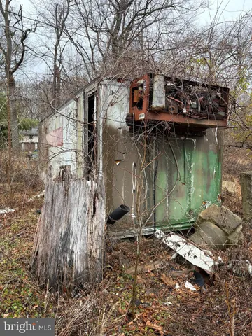 a view of a yard with plants and a bench