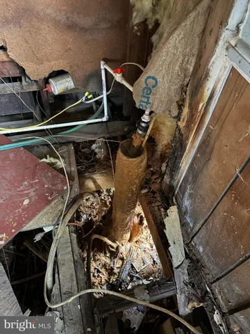 a backyard of a house with a large tree