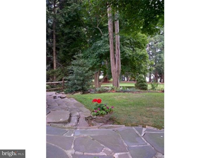 91 State Road Avondale, PA 19311 - Photo 21 of 25 Back Yard