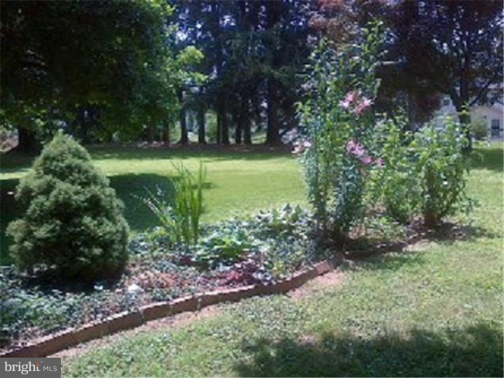 91 State Road Avondale, PA 19311 - Photo 22 of 25 Garden
