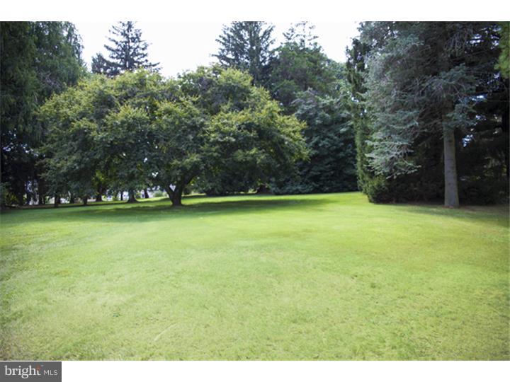 91 State Road Avondale, PA 19311 - Photo 23 of 25 Side Yard