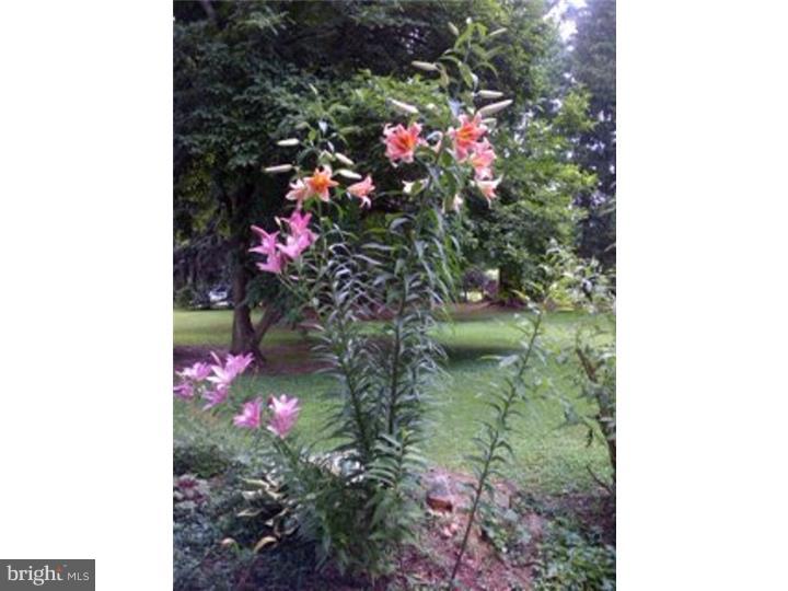 91 State Road Avondale, PA 19311 - Photo 24 of 25 Garden