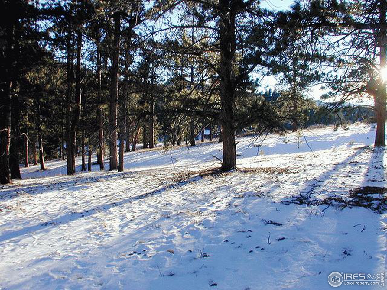 832 Beartrap Road Red Feather Lakes, CO 80545 - Photo 6 of 6 Gallery Image 6