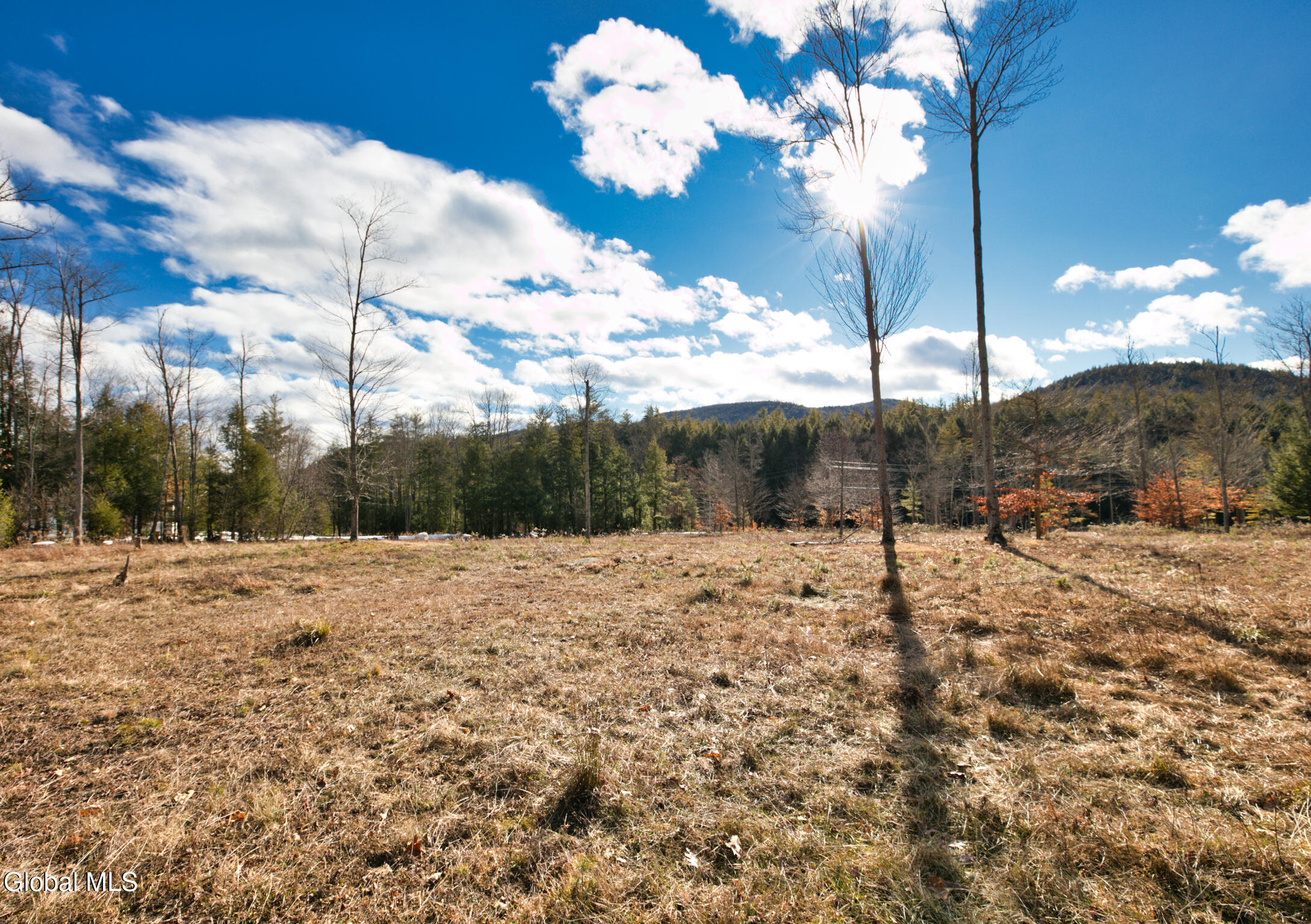 3981 North Shore Road, Unit 2A Hadley, NY 12835 - Photo 3 of 25 2P7A1933