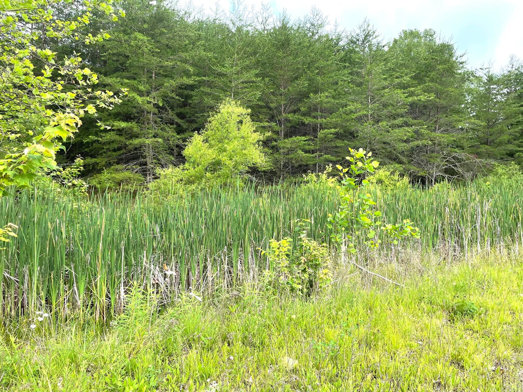 15351 Berry Road Logan, OH 43138 - Photo 40 of 57
