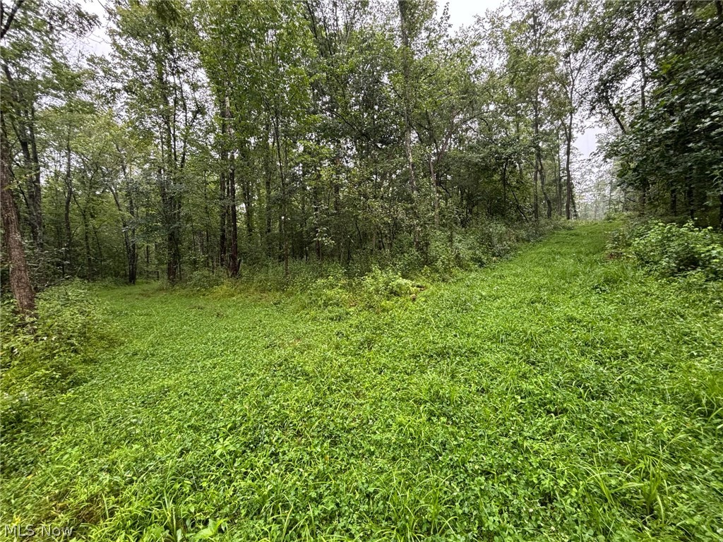 Pacific Road Northeast Carrollton, OH 44615 - Photo 21 of 25 Gallery Image 21