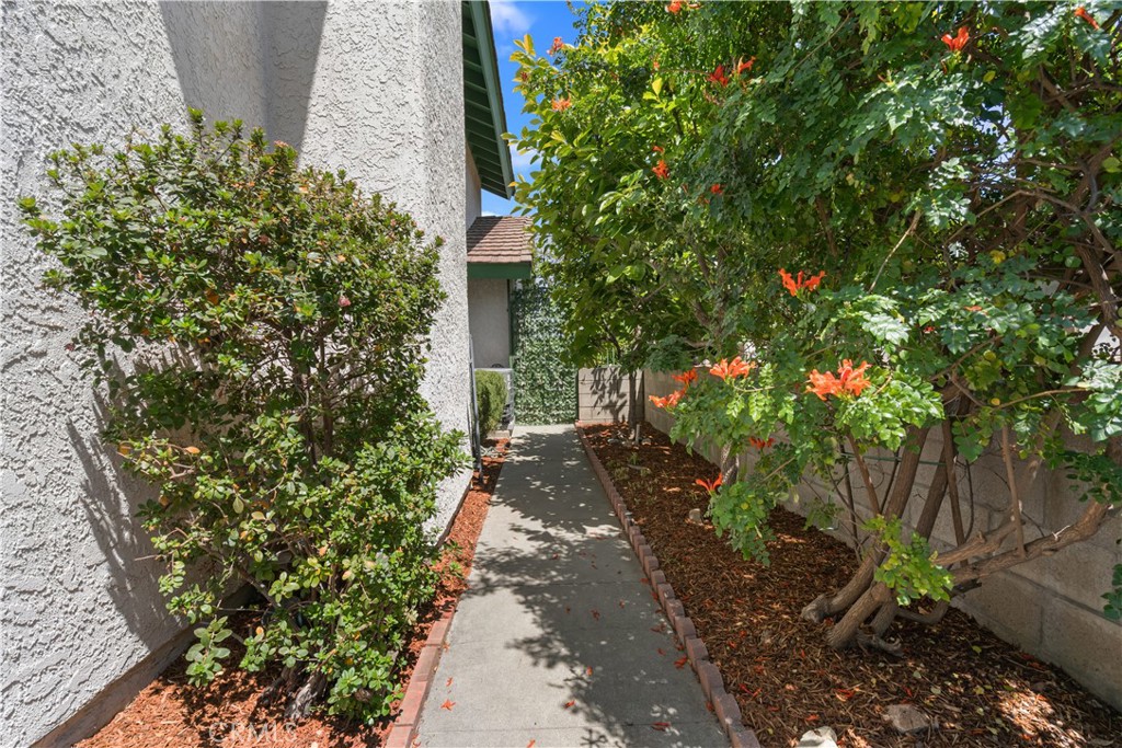 9046 Culpepper Street Rancho Cucamonga, CA 91730 - Photo 47 of 66 South Side Walkway And Fruit Trees