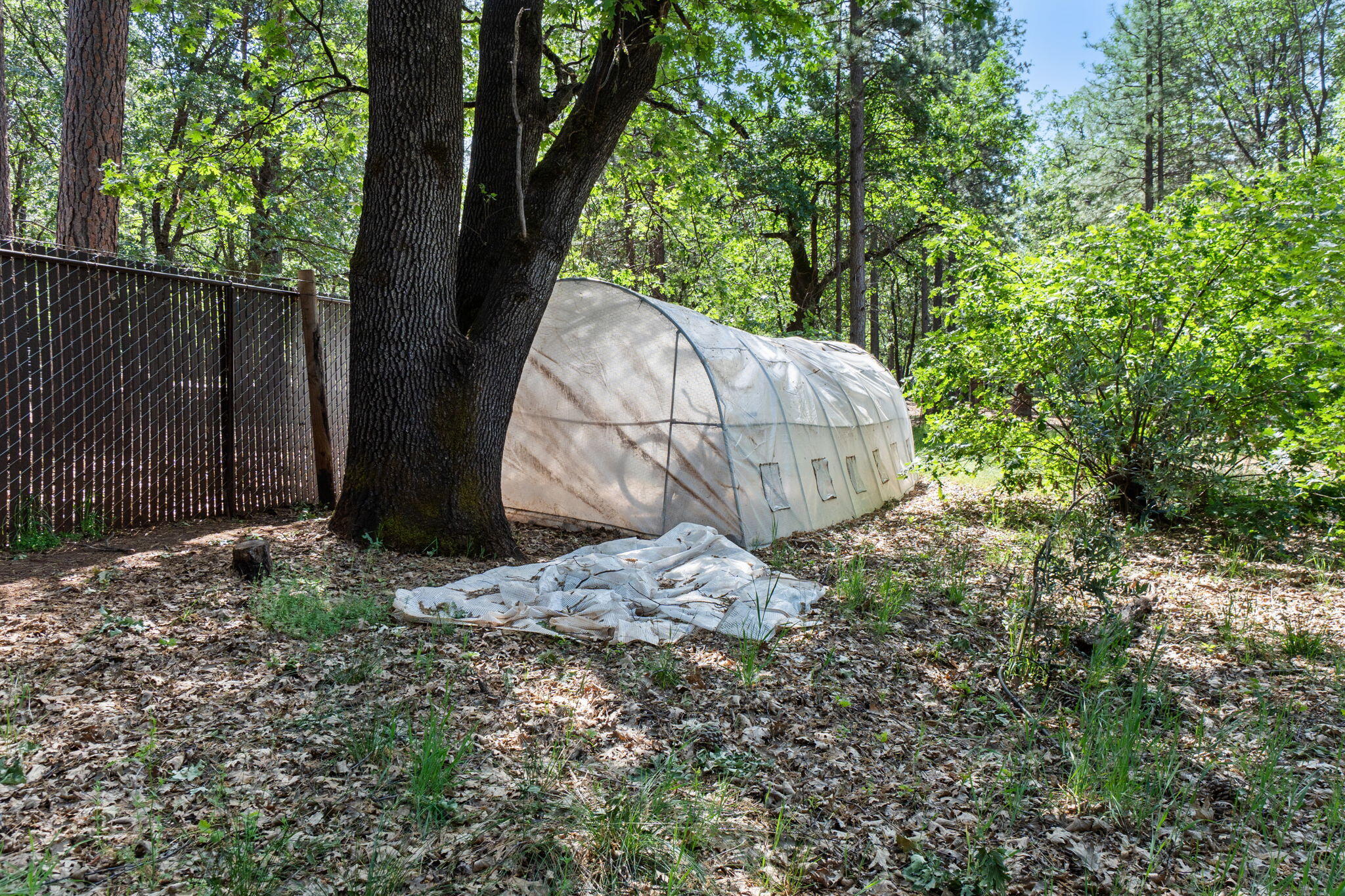 29153 South Cow Creek Road Whitmore, CA 96096 - Photo 55 of 94 48-web-or-mls-BiggerFlow Real Estate Med