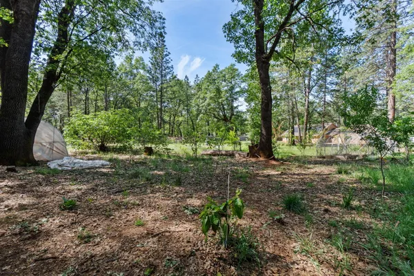 $489,000 | 29153 South Cow Creek Road, Whitmore, CA 96096