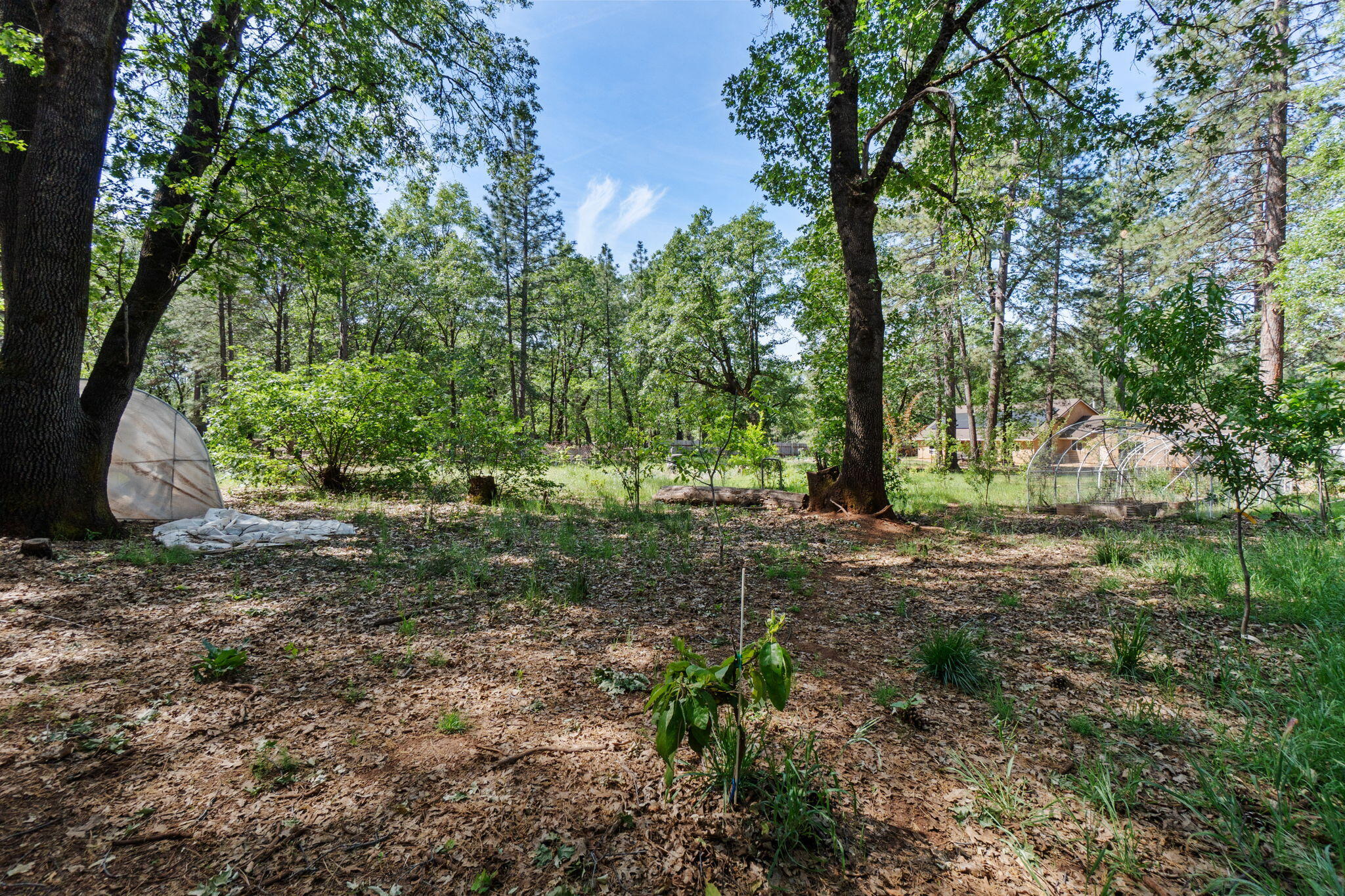 29153 South Cow Creek Road Whitmore, CA 96096 - Photo 56 of 94 49-web-or-mls-BiggerFlow Real Estate Med