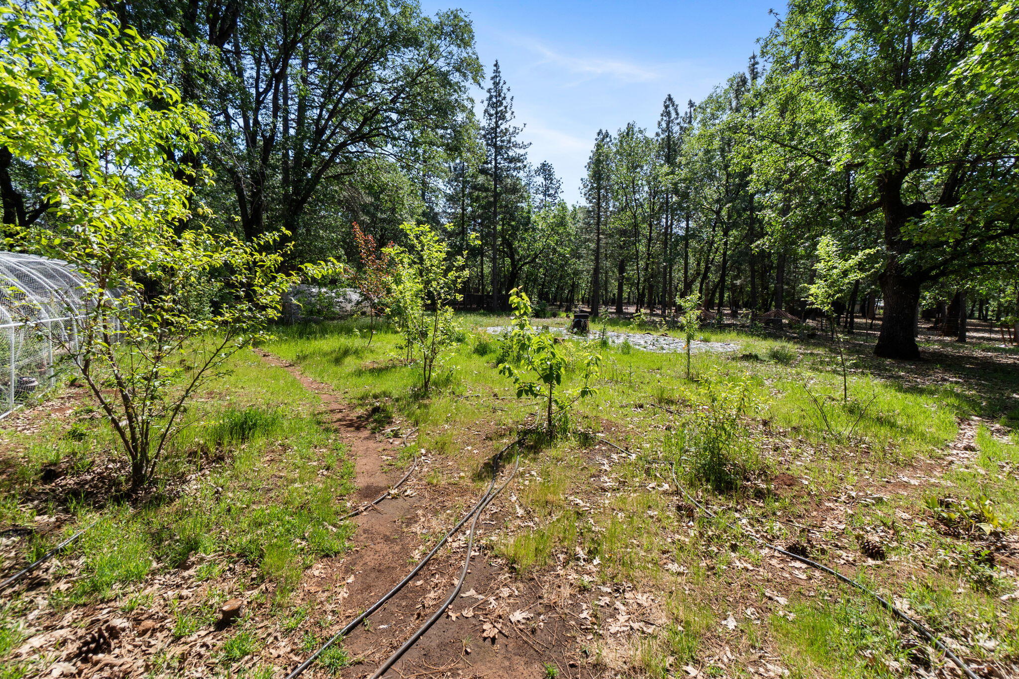 29153 South Cow Creek Road Whitmore, CA 96096 - Photo 61 of 94 51-web-or-mls-BiggerFlow Real Estate Med