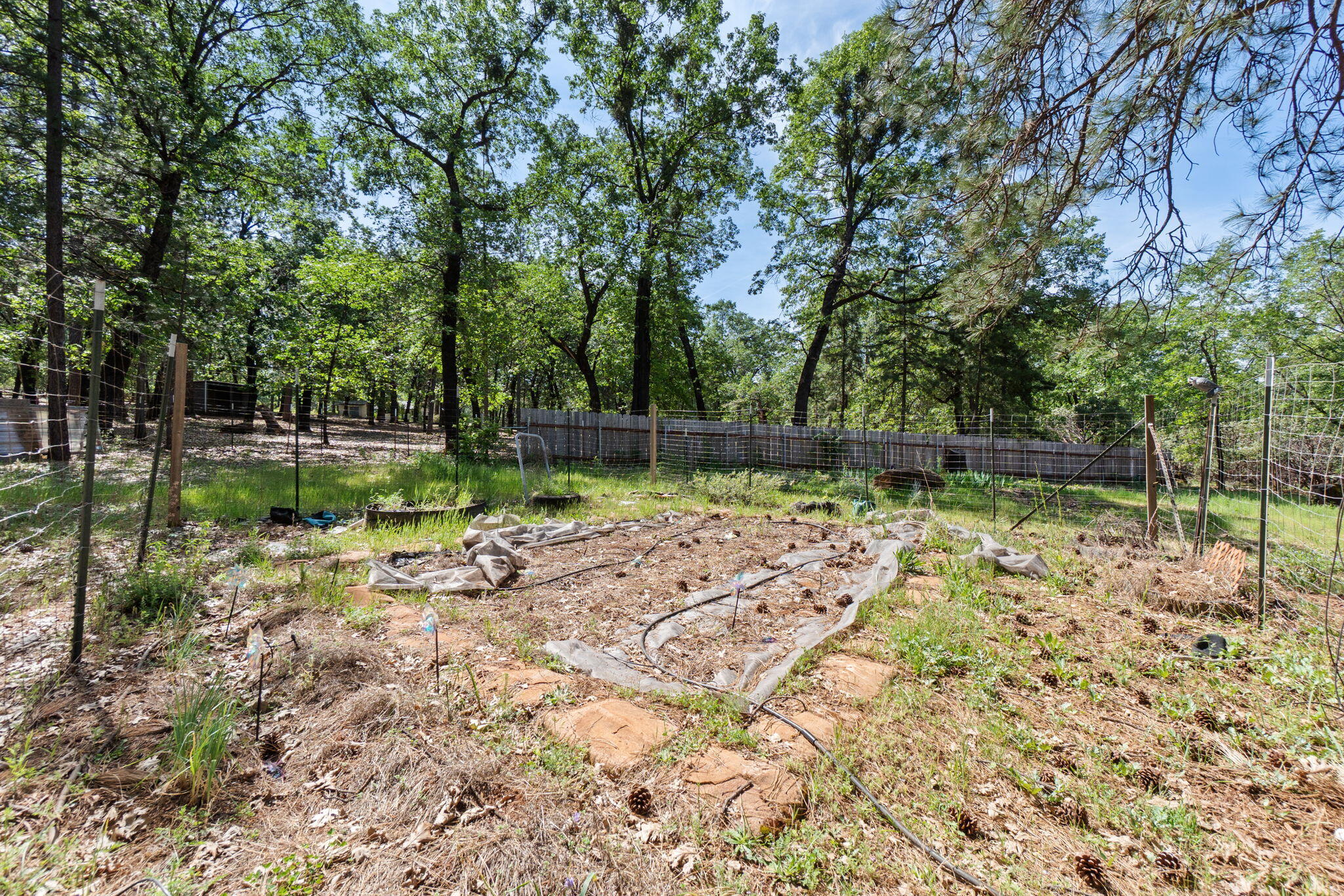 29153 South Cow Creek Road Whitmore, CA 96096 - Photo 62 of 94 46-web-or-mls-BiggerFlow Real Estate Med