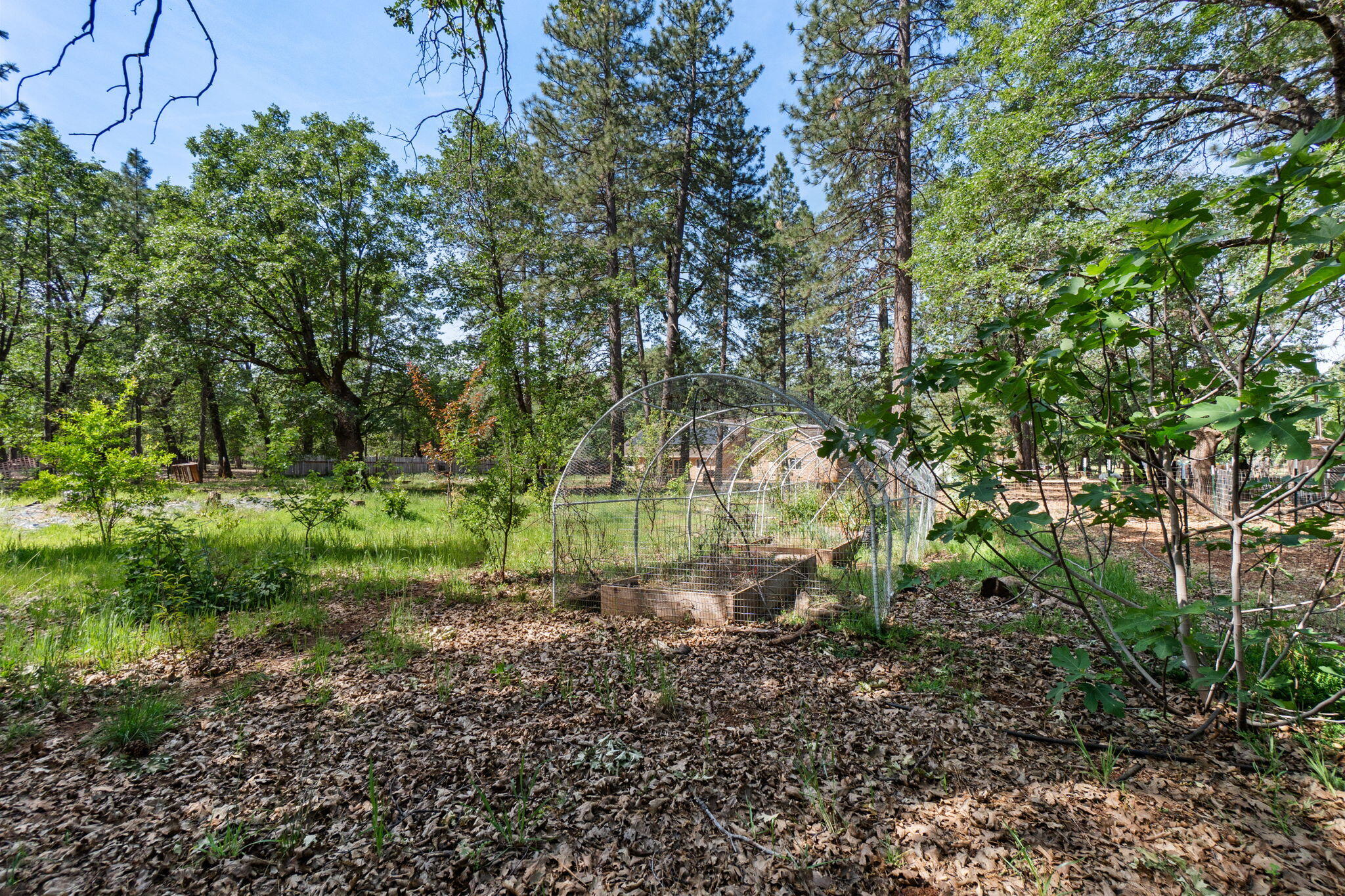 29153 South Cow Creek Road Whitmore, CA 96096 - Photo 63 of 94 50-web-or-mls-BiggerFlow Real Estate Med