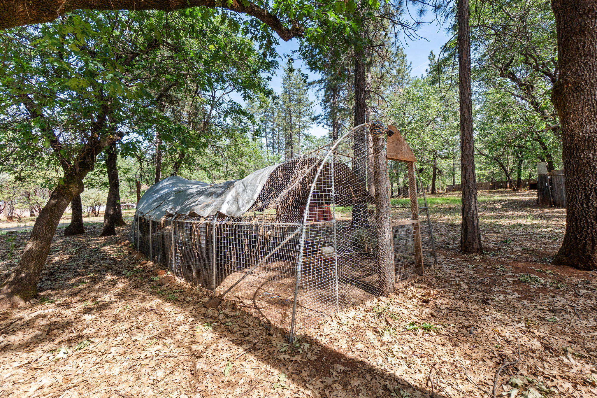 29153 South Cow Creek Road Whitmore, CA 96096 - Photo 64 of 94 56-web-or-mls-BiggerFlow Real Estate Med