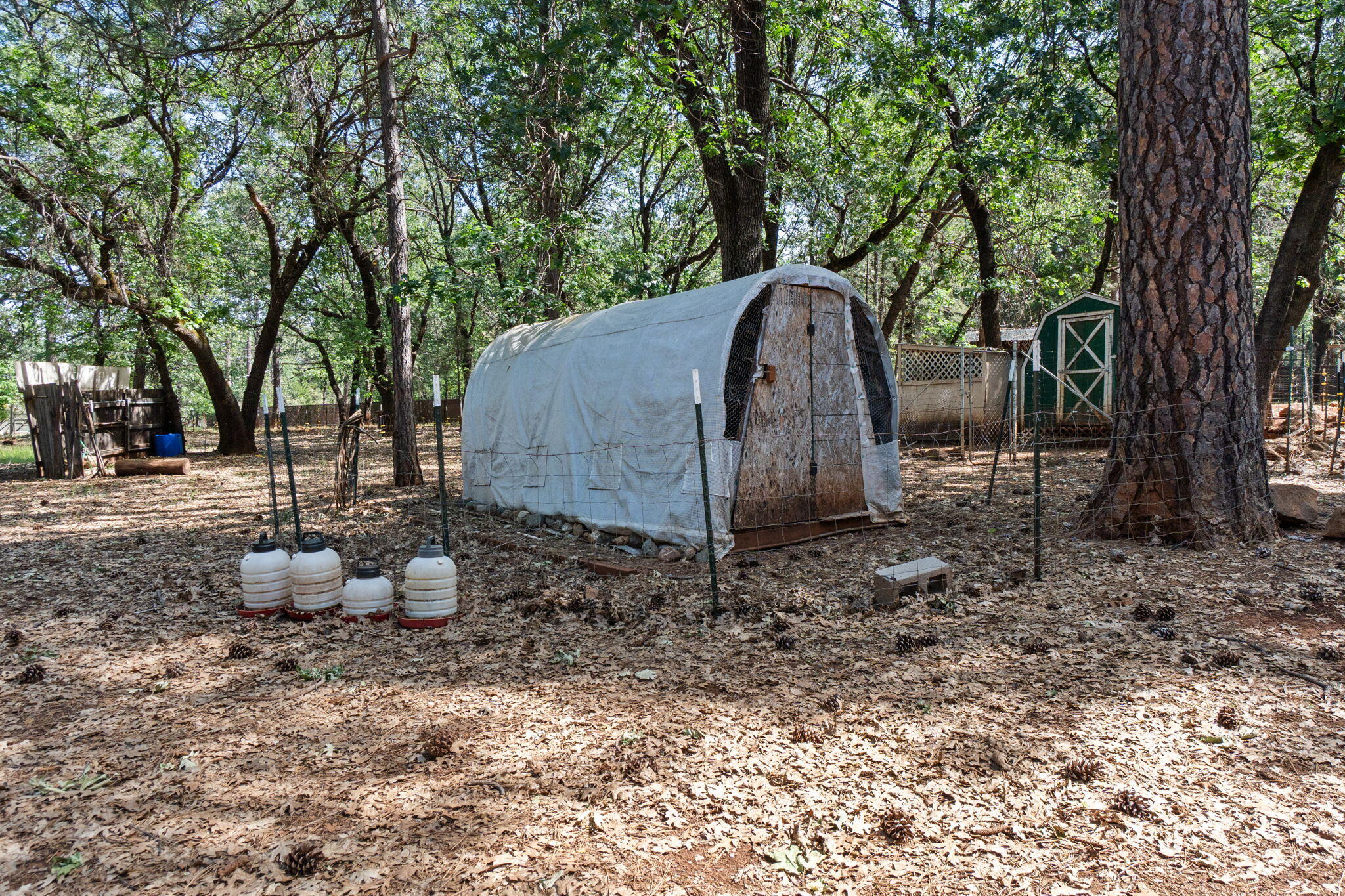 29153 South Cow Creek Road Whitmore, CA 96096 - Photo 65 of 94 57-web-or-mls-BiggerFlow Real Estate Med