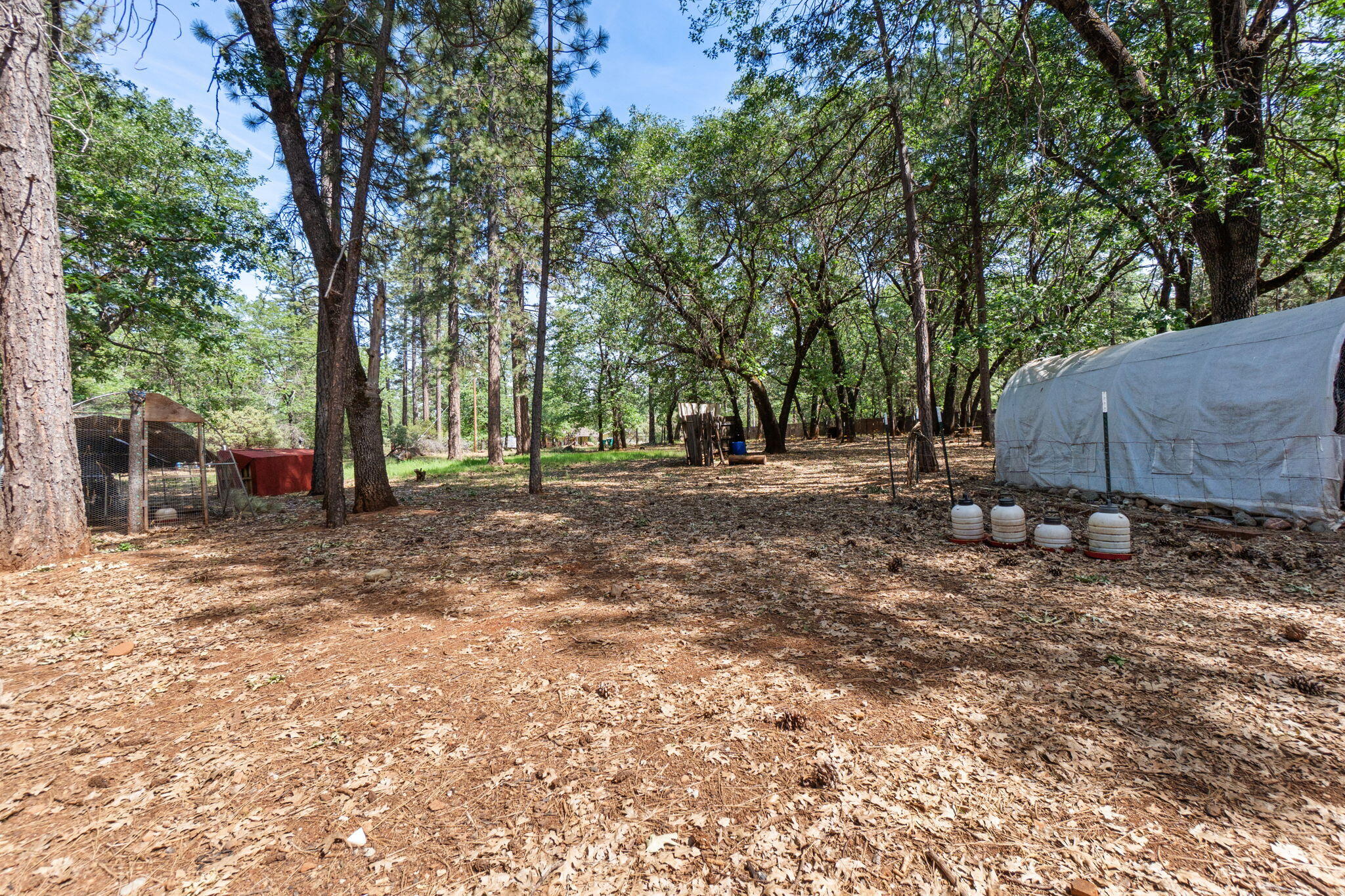 29153 South Cow Creek Road Whitmore, CA 96096 - Photo 66 of 94 58-web-or-mls-BiggerFlow Real Estate Med