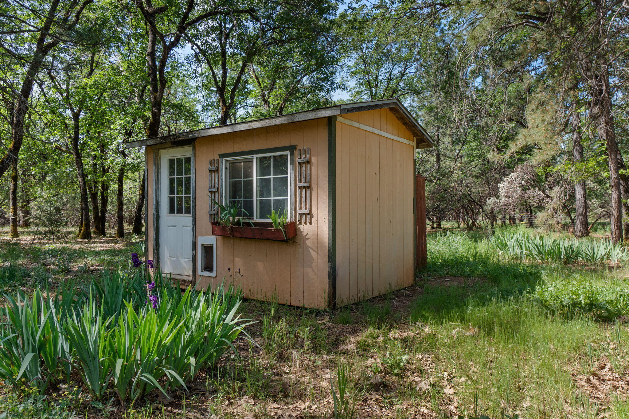 29153 South Cow Creek Road Whitmore, CA 96096 - Photo 73 of 94 65-web-or-mls-BiggerFlow Real Estate Med